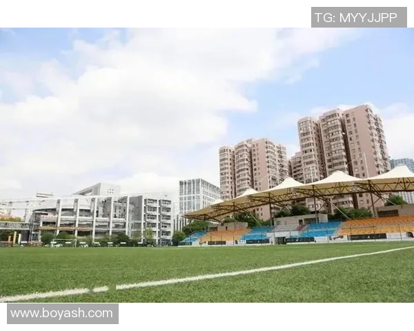 广州排球队的比赛经验分享与成长之路探讨